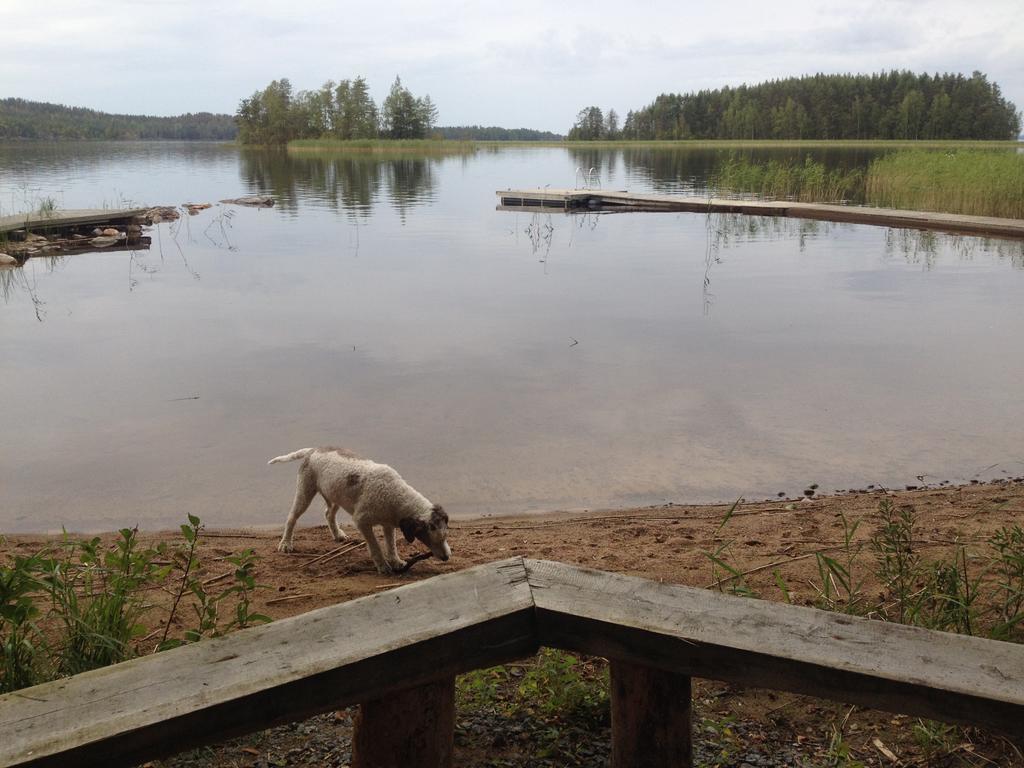 Nestorinranta Resort Lintusalo 外观 照片