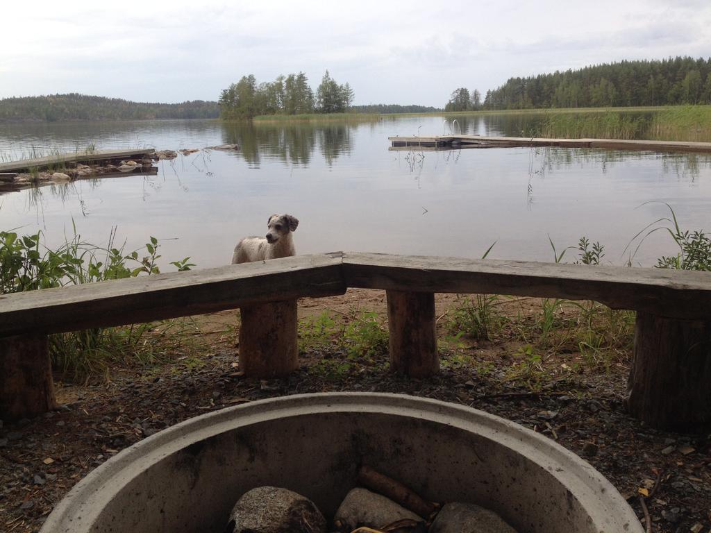 Nestorinranta Resort Lintusalo 外观 照片